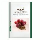 Pink Hongti Grape Organic - 100 PCS Seeds