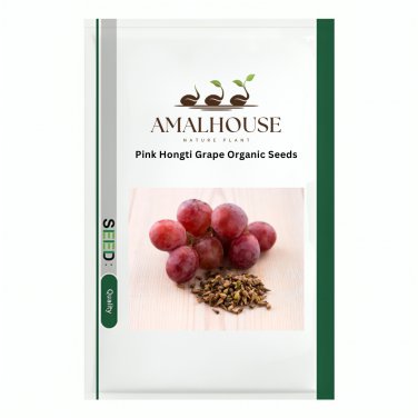 Pink Hongti Grape Organic - 100 PCS Seeds