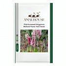 Pink Knotweed Polygonum Wetland Flower Herb - 100 PCS Seeds