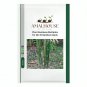 Plant Bambusa Multiplex for Qin Si Bamboo - 30 PCS Seeds