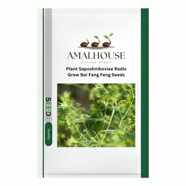Plant Saposhnikoviae Radix Grow Bei Fang Feng - 200 PCS Seeds