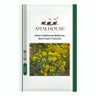 Plant Traditional Medicine Herb Isatis Tinctoria - 10 PCS Seeds