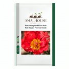 Portulaca grandiflora Dark Red Double Flowers - 100 PCS Seeds