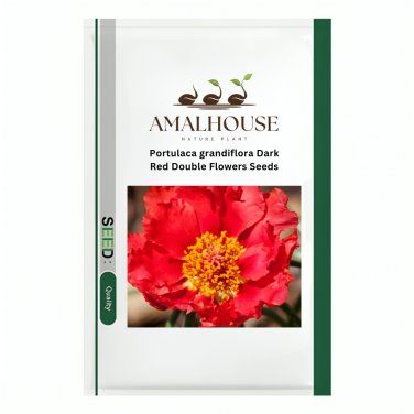 Portulaca grandiflora Dark Red Double Flowers - 100 PCS Seeds