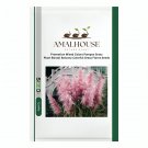 Promotion Mixed Colors Pampas Grass Plant Bonsai Balcony Colorful Grass Flores - 200 PCS Seeds