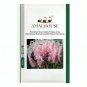 Promotion Mixed Colors Pampas Grass Plant Bonsai Balcony Colorful Grass Flores - 200 PCS Seeds