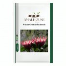 Protea Cynaroides - 200 PCS Seeds