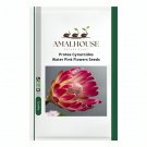 Protea Cynaroides Water Pink Flowers - 2 PCS Seeds