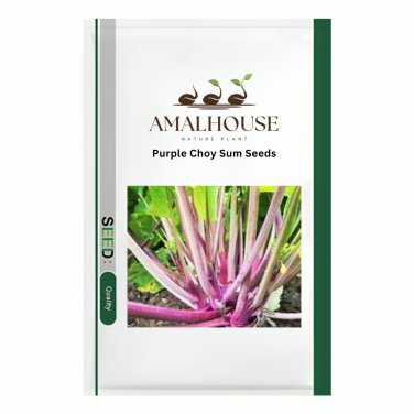 Purple Choy Sum - 1500 PCS Seeds