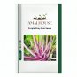 Purple Choy Sum - 1500 PCS Seeds