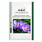 Purple Crocus sativus L. Bulbs Heirloom Saffron Crocus Plant - 5 PCS Seeds