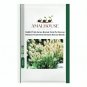 Rabbit Tails Grass Bonsai Colorful Fescue Bonsai Ornamental Grasses Bonsai - 300 PCS Seeds