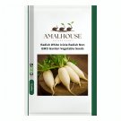 Radish White Icicle Radish Non GMO Garden Vegetable - 900 PCS Seeds