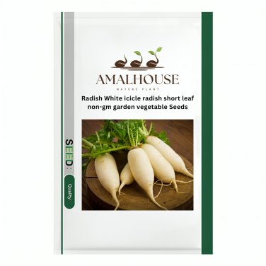 Radish White icicle radish short leaf non-gm garden vegetable - 900 PCS Seeds