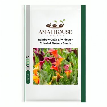 Rainbow Calla Lily Flower Colorful Flowers - 200 PCS Seeds