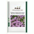 Rainbow Creeping Thyme Plants Blue Rock CRESS Plants - 200 PCS Seeds