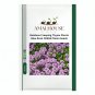 Rainbow Creeping Thyme Plants Blue Rock CRESS Plants - 200 PCS Seeds