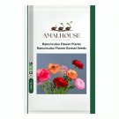 Ranunculus Flower Plants Ranunculus Flower Bonsai - 100 PCS Seeds