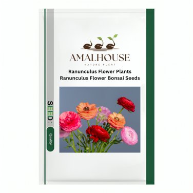 Ranunculus Flower Plants Ranunculus Flower Bonsai - 100 PCS Seeds