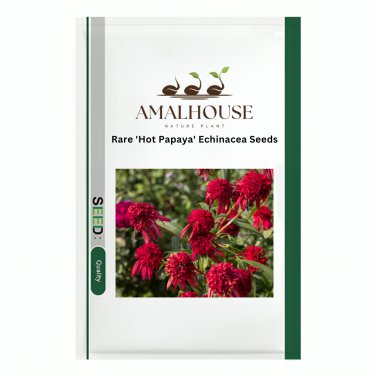 Rare 'Hot Papaya' Echinacea - 200 PCS Seeds