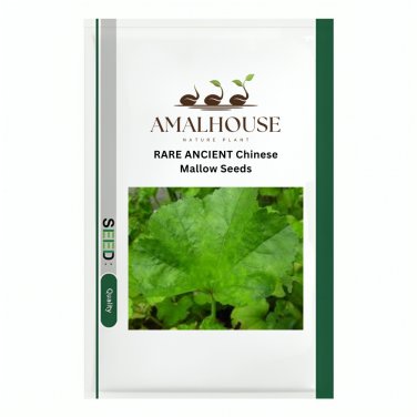 RARE ANCIENT Chinese Mallow - 1000 PCS Seeds