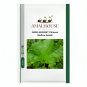RARE ANCIENT Chinese Mallow - 1000 PCS Seeds