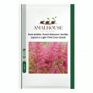 Rare Astilbe 'Peach Blossom' Astilbe Japonica Light Pink Color - 100 PCS Seeds