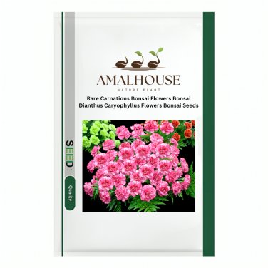 Rare Carnations Bonsai Flowers Bonsai Dianthus Caryophyllus Flowers Bonsai - 200 PCS Seeds