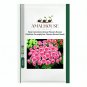 Rare Carnations Bonsai Flowers Bonsai Dianthus Caryophyllus Flowers Bonsai - 200 PCS Seeds