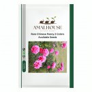 Rare Chinese Peony 2 Colors Available - 10 PCS Seeds