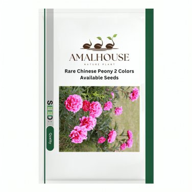 Rare Chinese Peony 2 Colors Available - 10 PCS Seeds