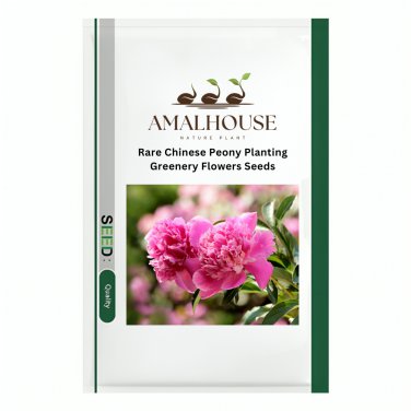 Rare Chinese Peony Planting Greenery Flowers - 20 PCS Seeds
