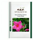 Rare Climbing Jasmine Flower - 50 PCS Seeds