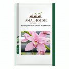 Rare Cymbidium Orchid Plant - 100 PCS Seeds