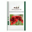 Rare Dark Red Geranium Bonsai - 30 PCS Seeds