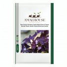 Rare Exotic Rainbow Oxalis Wood Sorrel Flower Bonsai Plants Oxalis Purple Shamrock - 100 PCS Seeds