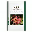 Rare Grevillea Flowers Beautiful Flower Australian Grevillea - 100 PCS Seeds