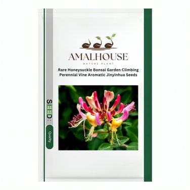 Rare Honeysuckle Bonsai Garden Climbing Perennial Vine Aromatic Jinyinhua - 100 PCS Seeds
