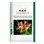 Rare Honeysuckle Bonsai Garden Climbing Perennial Vine Aromatic Jinyinhua - 100 PCS Seeds