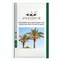 Rare Medjool Date Sweet Organic Fruit Natural Date Palm Tree Bonsai - 100 PCS Seeds