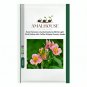 Rare Peruvian Lily Alstroemeria White Light Pink Yellow with Coffee Stripes Flowers - 100 PCS Seeds
