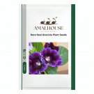 Rare Real Gloxinia Plant - 100 PCS Seeds