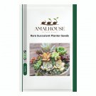 Rare Succulent Planter - 500 PCS Seeds