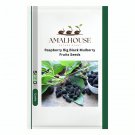 Raspberry Big Black Mulberry Fruits - 100 PCS Seeds