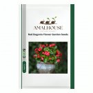 Red Begonia Flower Garden - 100 PCS Seeds