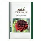 Red Dahlias - 50 PCS Seeds