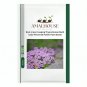 Rock cress Creeping Thyme Bonsai Multi-Color Perennial Flower Plant - 200 PCS Seeds