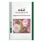 Rouge Ranunculus Flower - 100 PCS Seeds