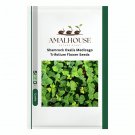 Shamrock Oxalis Medicago Trifolium Flower - 100 PCS Seeds