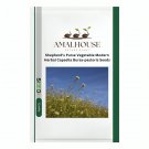 Shepherd's Purse Vegetable Modern Herbal Capsella Bursa-pastoris - 3000 PCS Seeds